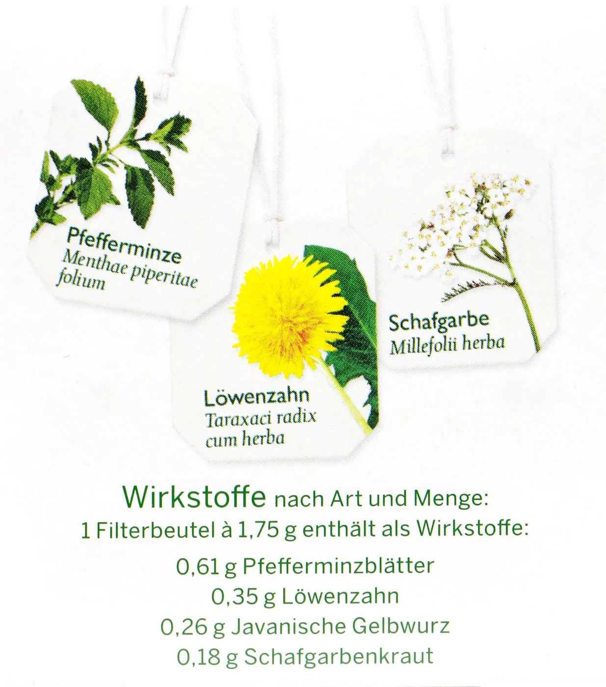 Bad Heilbrunner Leber- Und Galletee - 8 Beutel 2 Bad Heilbrunner Leber- Und Galletee - 8 Beutel – Bild 2